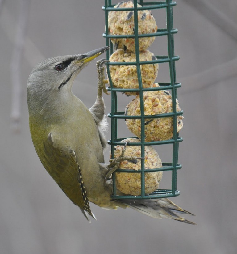 Snímek obrazovky 2025-11-26 093905